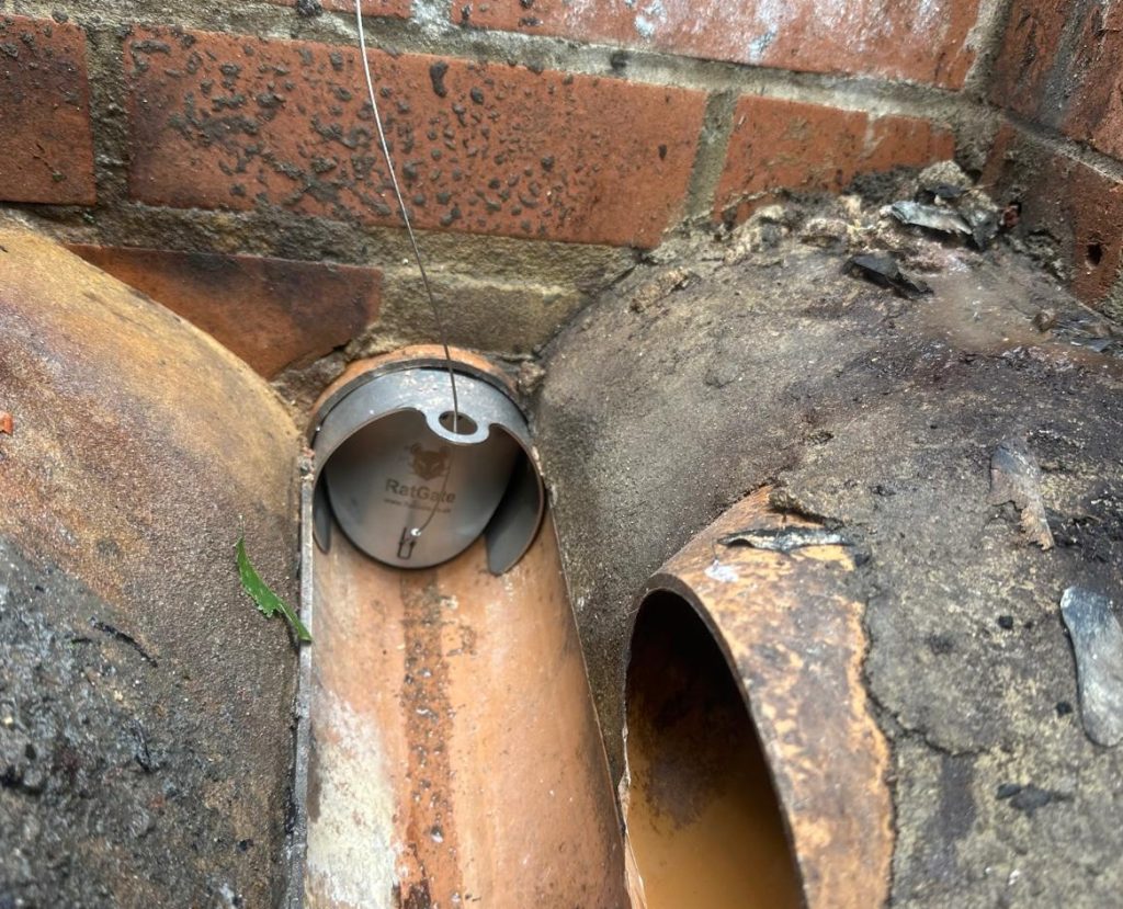 Stainless steel drain valve in pipes.