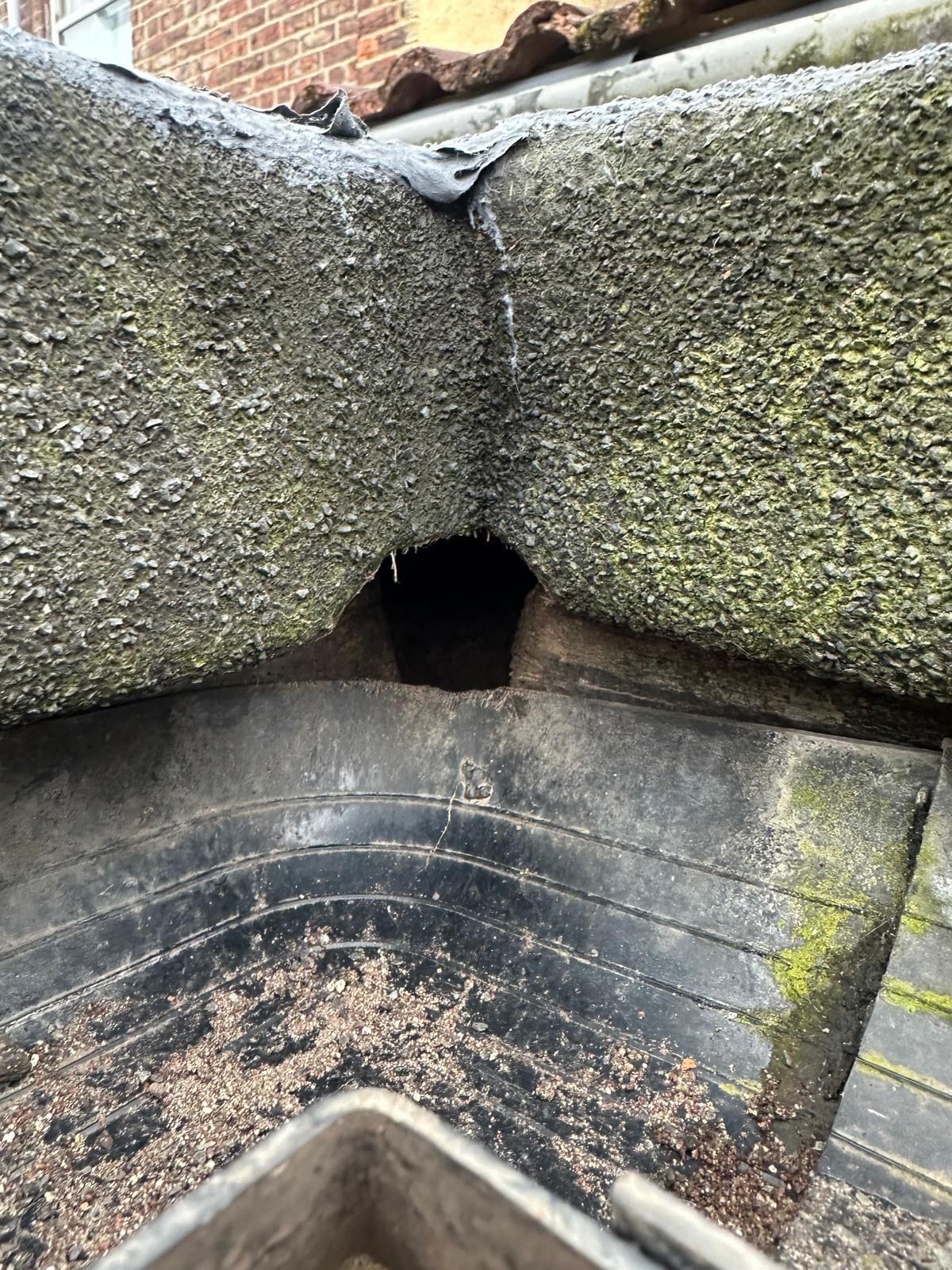 Gap in roof, potential rat entry.