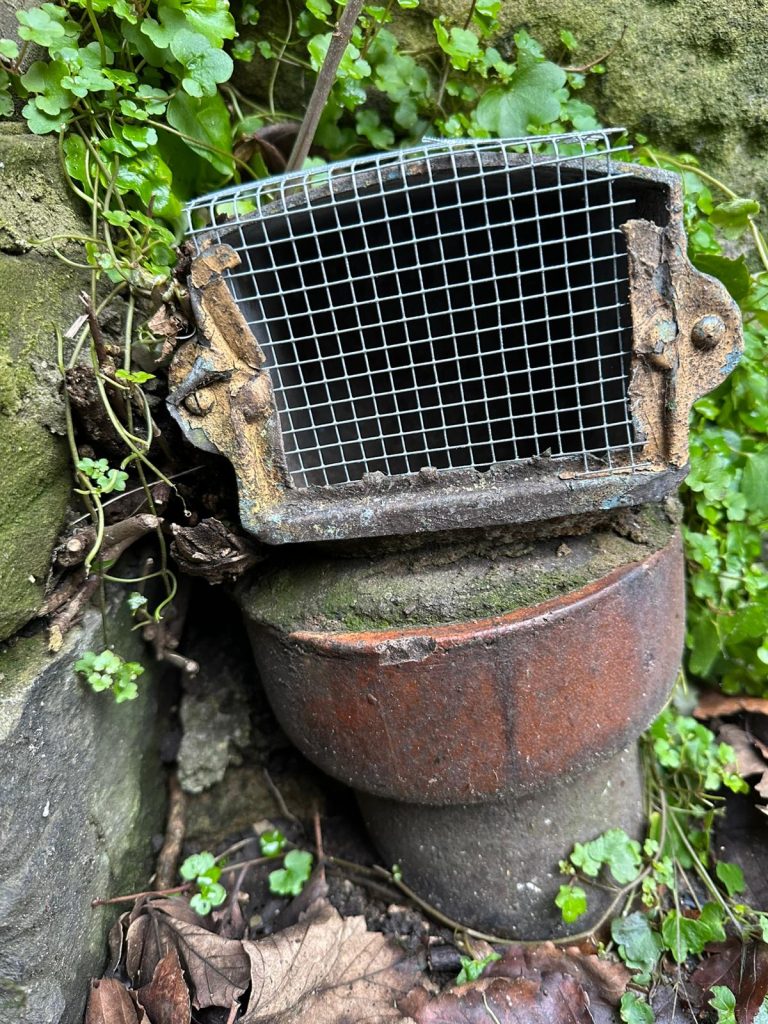 Case Study Rats Accessing Yard via Unprotected Inspection Chamber Vent NE3
