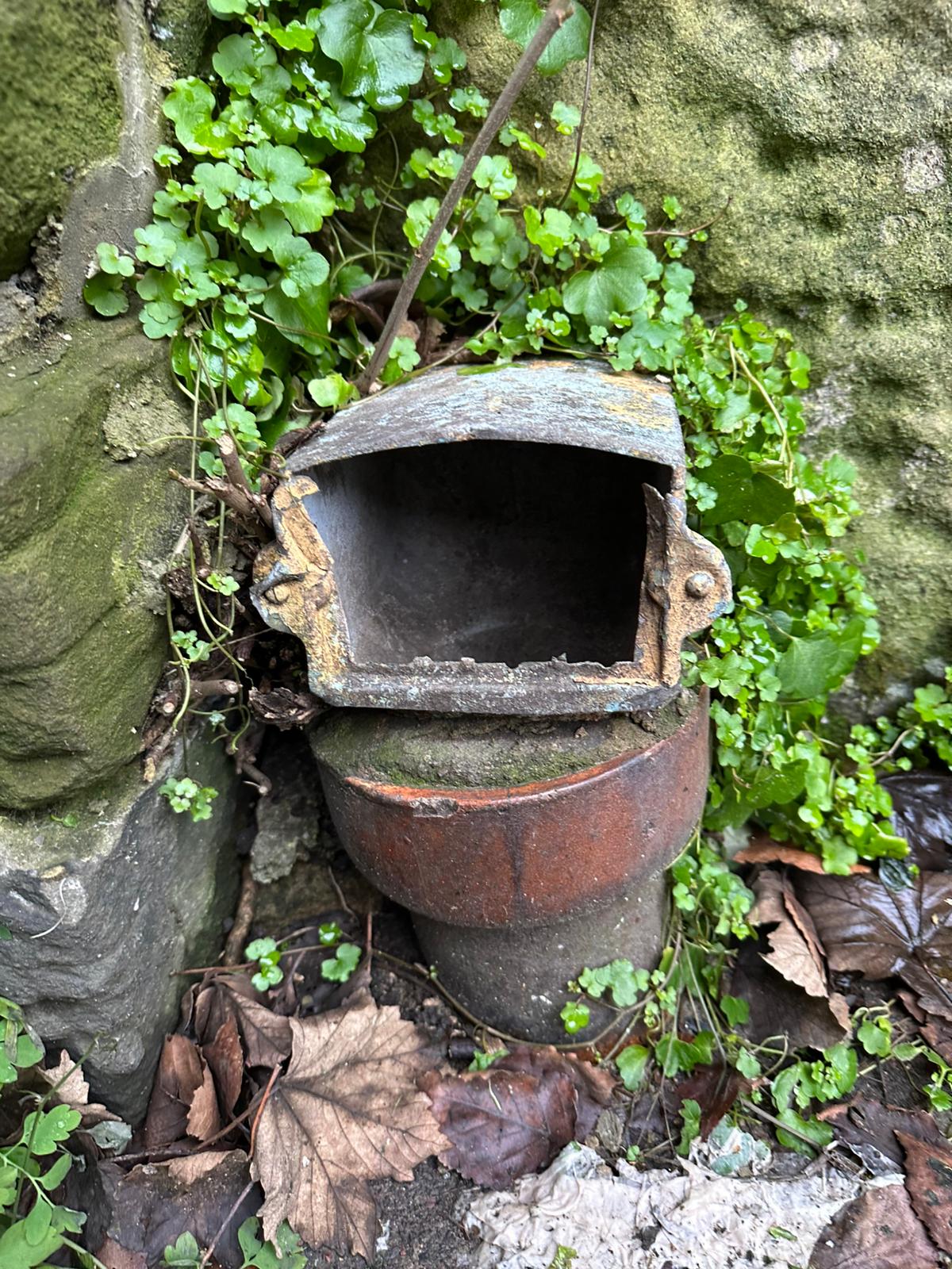 Case Study Rats Accessing Yard via Unprotected Inspection Chamber Vent NE3