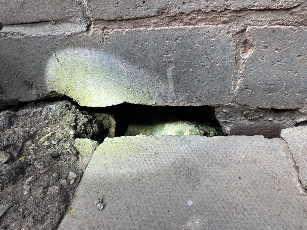 Collapsed brickwork and exposed drainage creating a rodent ingress point beneath the external wall in Gateshead NE11.