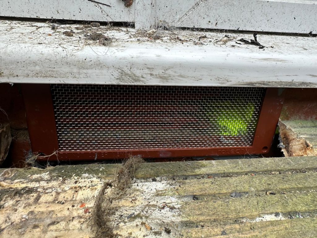 stainless steel air brick cover installed following successful rat riddance at a property in Blyth (NE24).