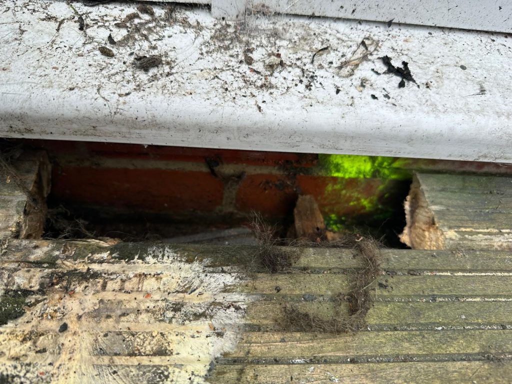 Tracking dust used to confirm rat activity around a damaged air brick at a property in Blyth (NE24).